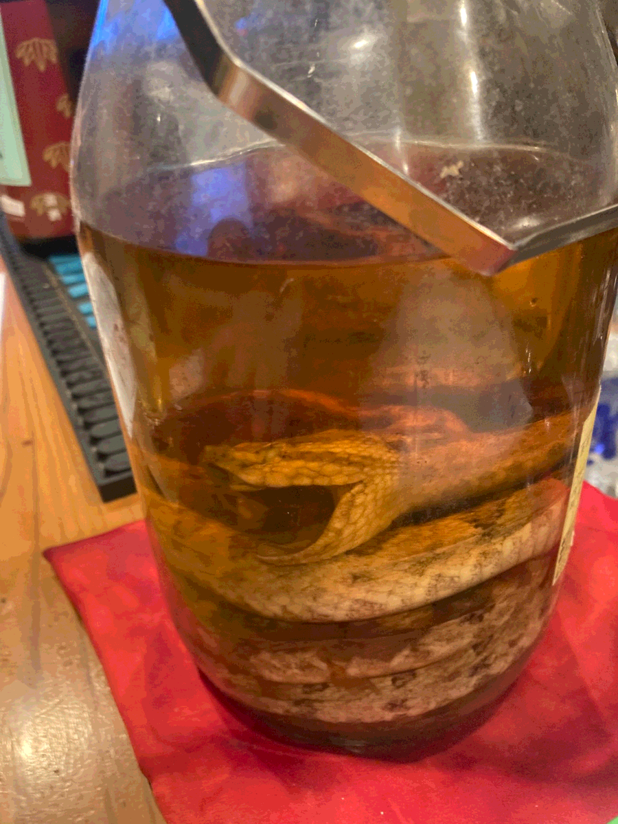 Pasted image 20260214013438.png