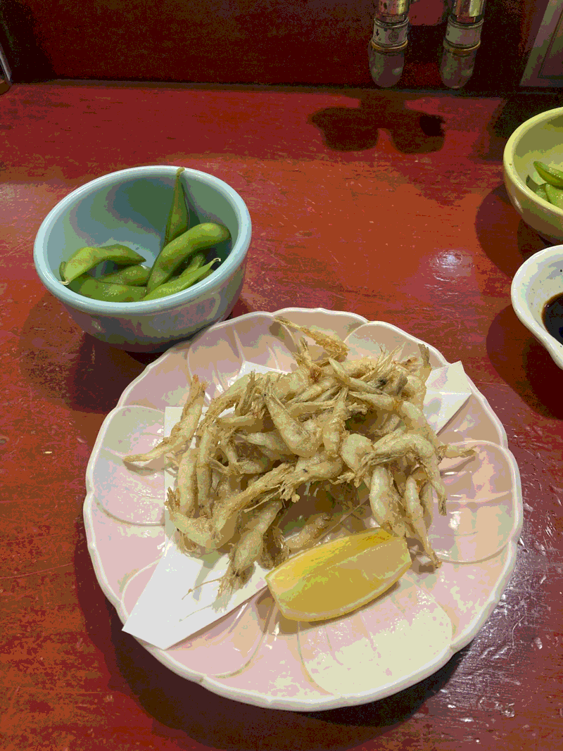 Pasted image 20260214013408.png