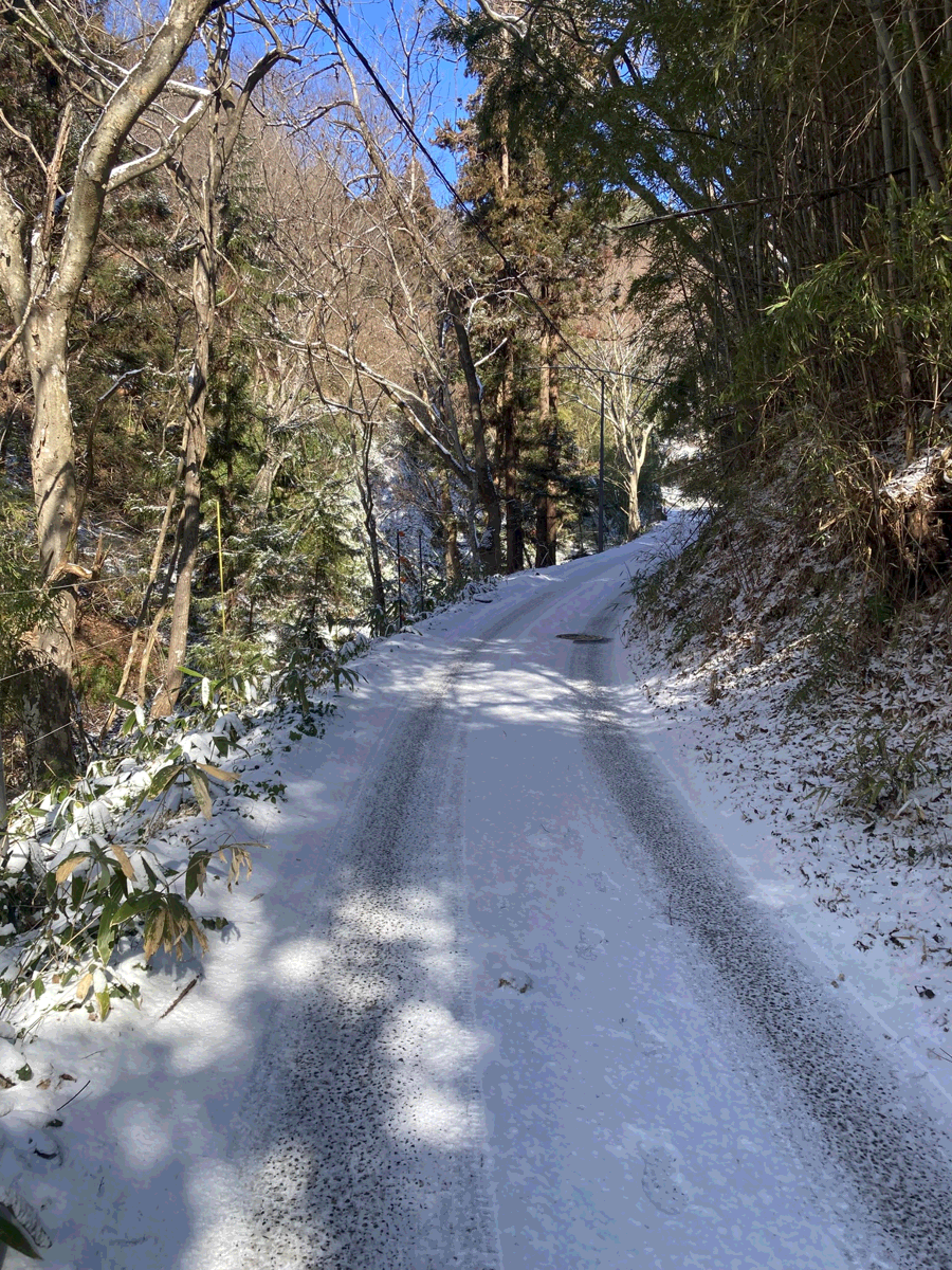 Pasted image 20260208210900.png