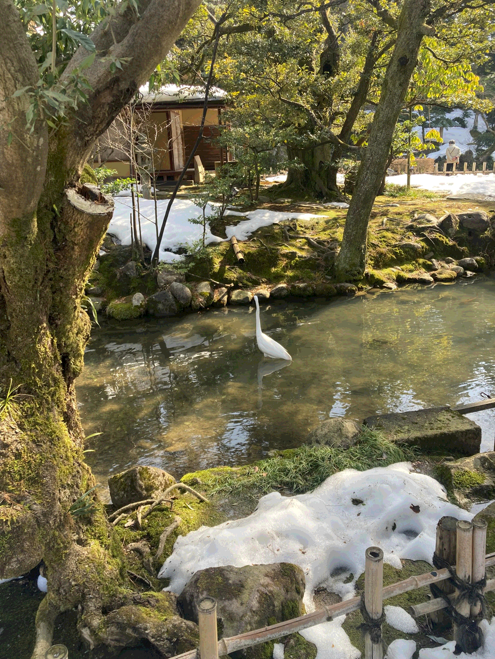 Pasted image 20260214013810.png