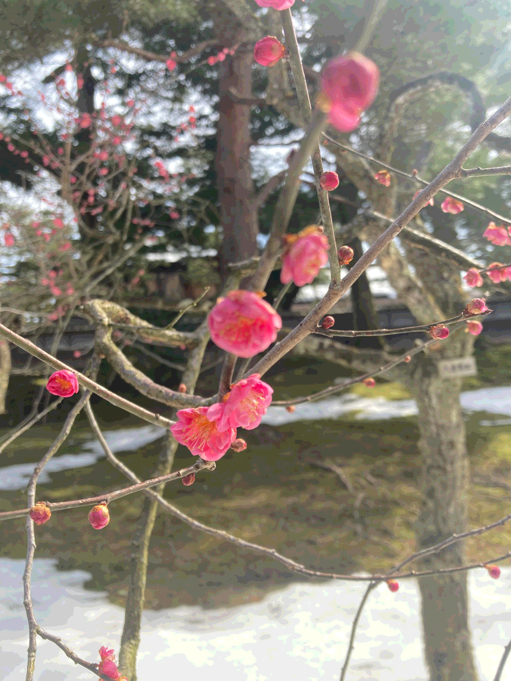 Pasted image 20260214013840.png